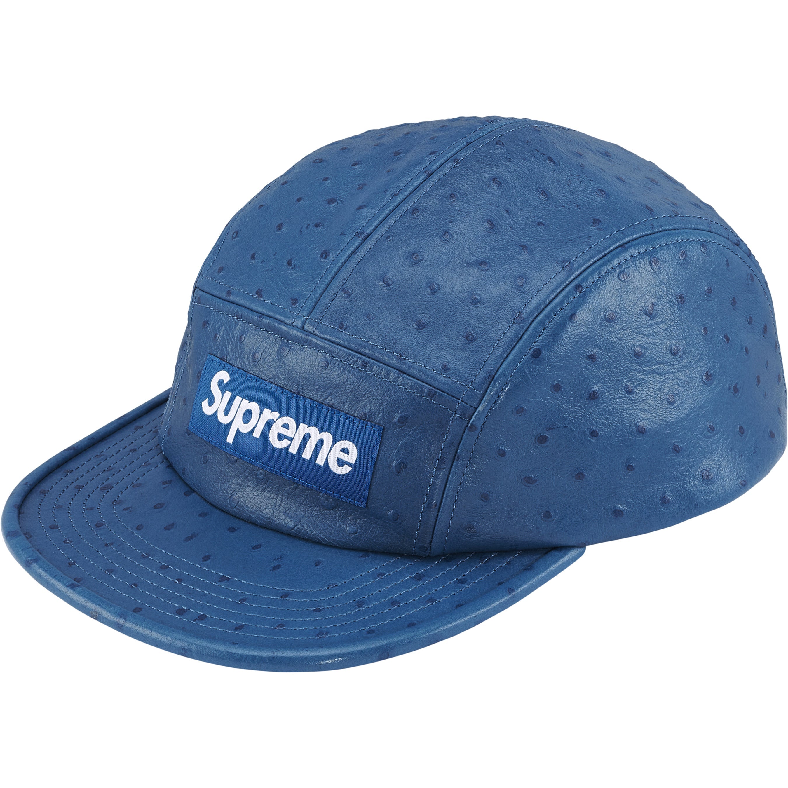 Ostrich Embossed Leather GORE-TEX Camp Cap view 2